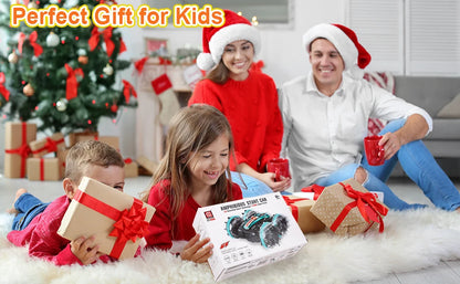 Amphibious RC Car Remote Control Stunt Car Vehicle Double-sided Flip Driving Drift Rc Cars Outdoor Toys for Boys Children's Gift