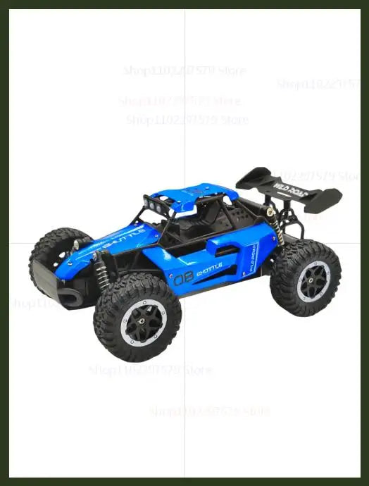 RC Off Road Drift Car 1/16 2WD Remote Control Car 20KM/H High Speed Two Wheel Drive Radio Controlled Race Car Model Kid Toy Gift