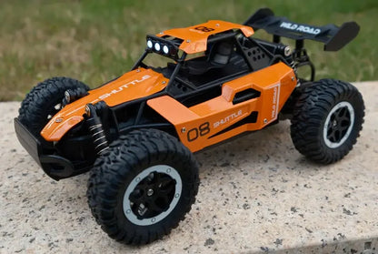 Rc Cars 1:16 2WD Off-Road RC Truck All Terrain 2.4G Electric RC Car High Speed 20KM/H Remote Control Car with LED Lights Kid Toy