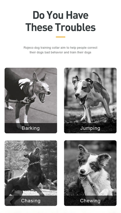 1000m Electric Dog Training Collar with Remote Control Waterproof Rechargeable Pet Dog Bark Stop Shock Collar Electric Shocker