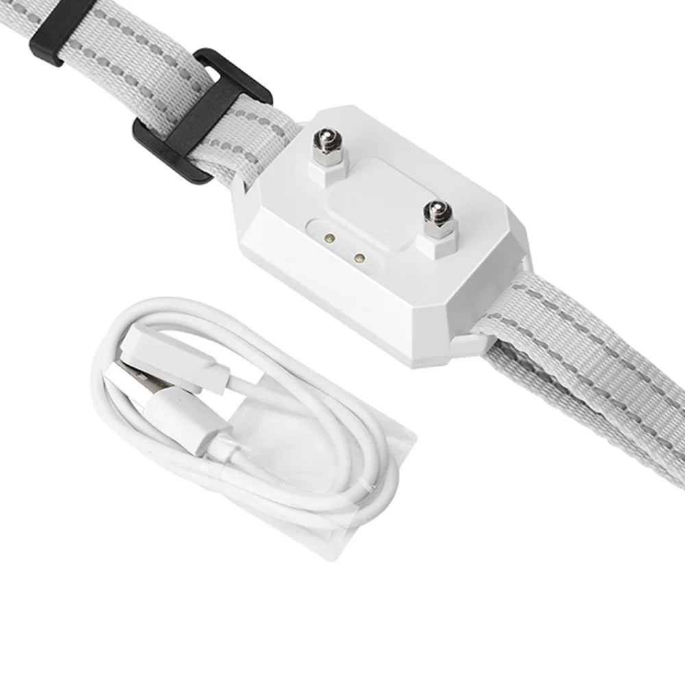 1000m GPS Dog Fence Outdoor Electric Shock Vibrate Invisible Fencing Device for Dogs Training Collars 100~3280 Ft Range