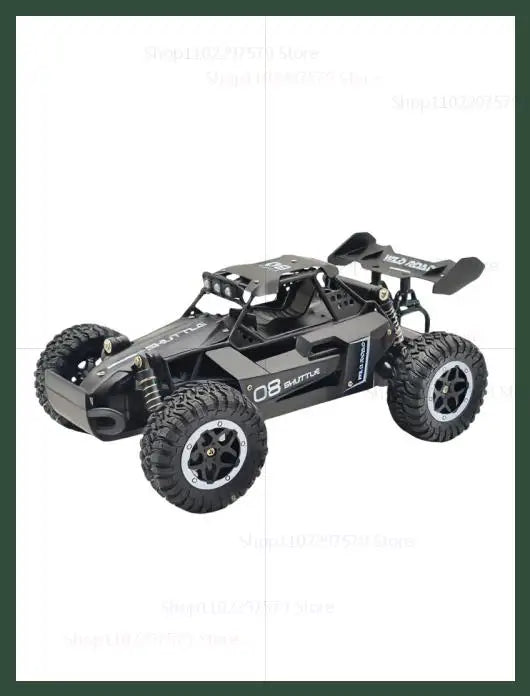 RC Off Road Drift Car 1/16 2WD Remote Control Car 20KM/H High Speed Two Wheel Drive Radio Controlled Race Car Model Kid Toy Gift
