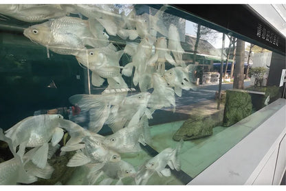 CERASTES Action Camera 5K 4K 60FPS WiFi Anti-shake Dual Screen 170° Wide Angle 30m Waterproof Sport Camera with Remote Control