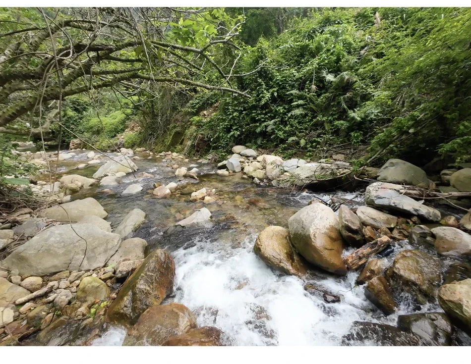 CERASTES Action Camera 5K 4K 60FPS WiFi Anti-shake Dual Screen 170° Wide Angle 30m Waterproof Sport Camera with Remote Control