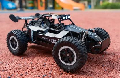 RC Cars Off-Road 2WD 1:16 Scale All Terrain Fast 20KM/H High Speed Electric Vehicle with 2.4GHz Metal Shell Remote Control Truck